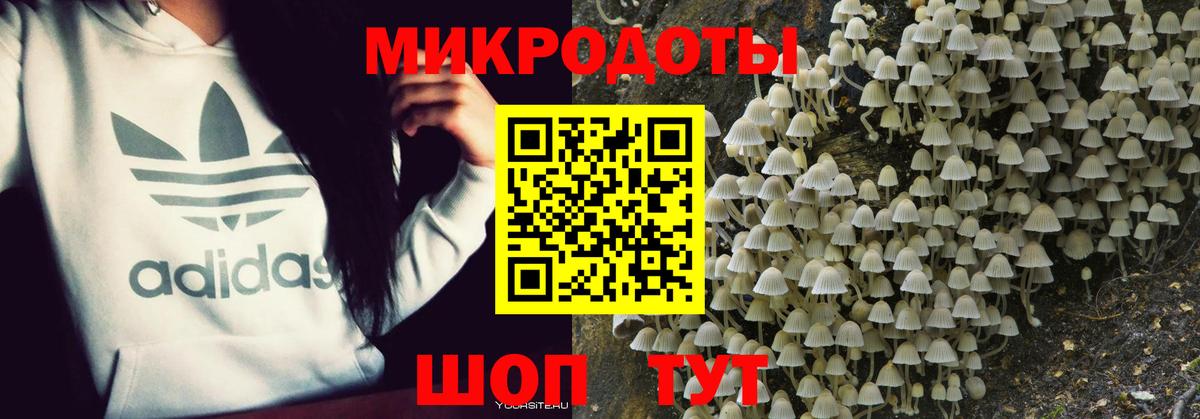 Псилоцибиновые грибы GOLDEN TEACHER Горячий Ключ