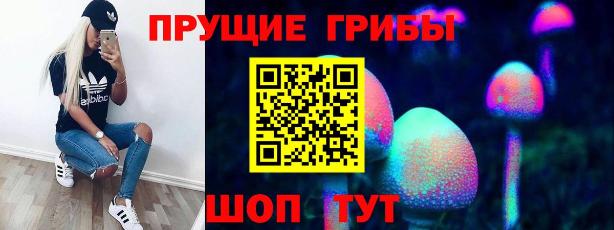 Псилоцибиновые грибы Psilocybine cubensis  Вход с VPN  Горячий Ключ 